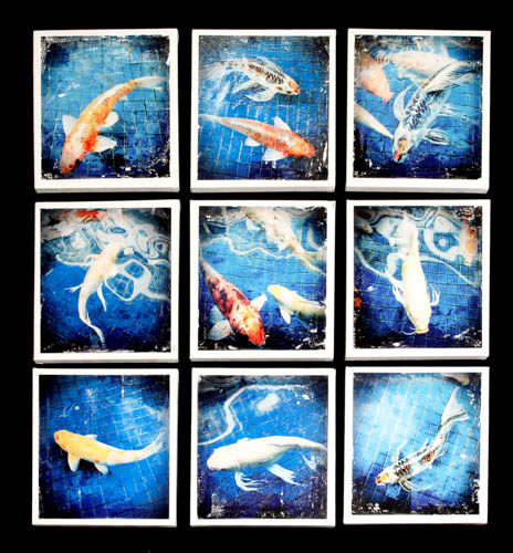 "Ala Moana Koi" Image Transfers to Canvases