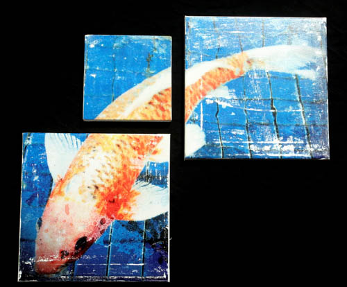 "Orange Koi" Image Transfer on Canvas